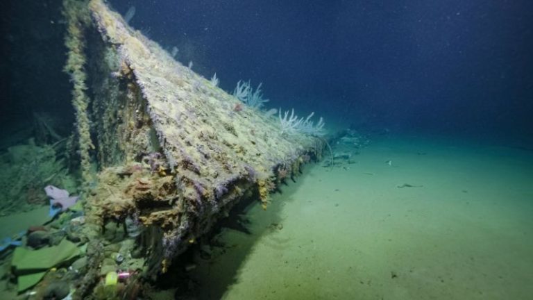A torpedoed US Navy ship escaped the Pacific in reverse, using coconut logs. Its sunken bow has just been found